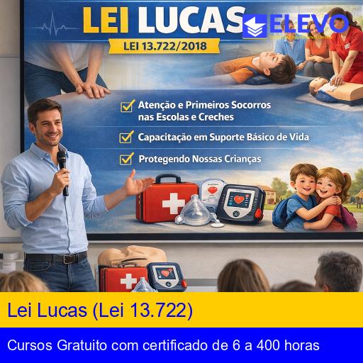 Lei Lucas (Lei 13.722)